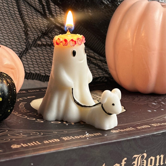 Vela Fantasma Paseando