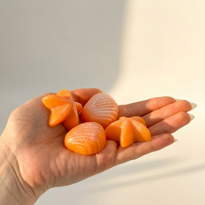 Wax Melts Costa Dorada